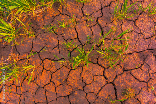 Cracked earth, metaphoric for climate change and global warming