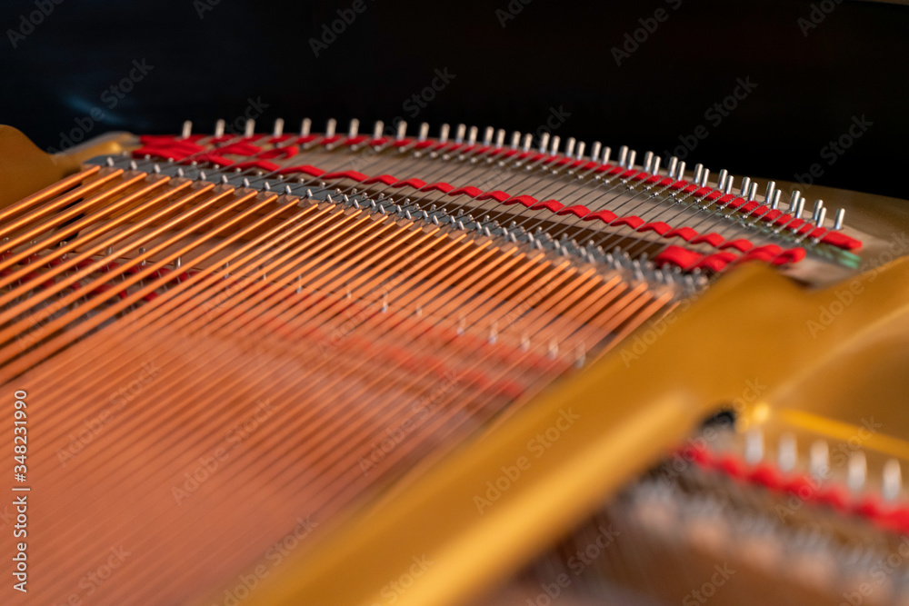Grand Piano - Bass strings, Bass bridge Grand Piano - Bass strings, Bass bridge