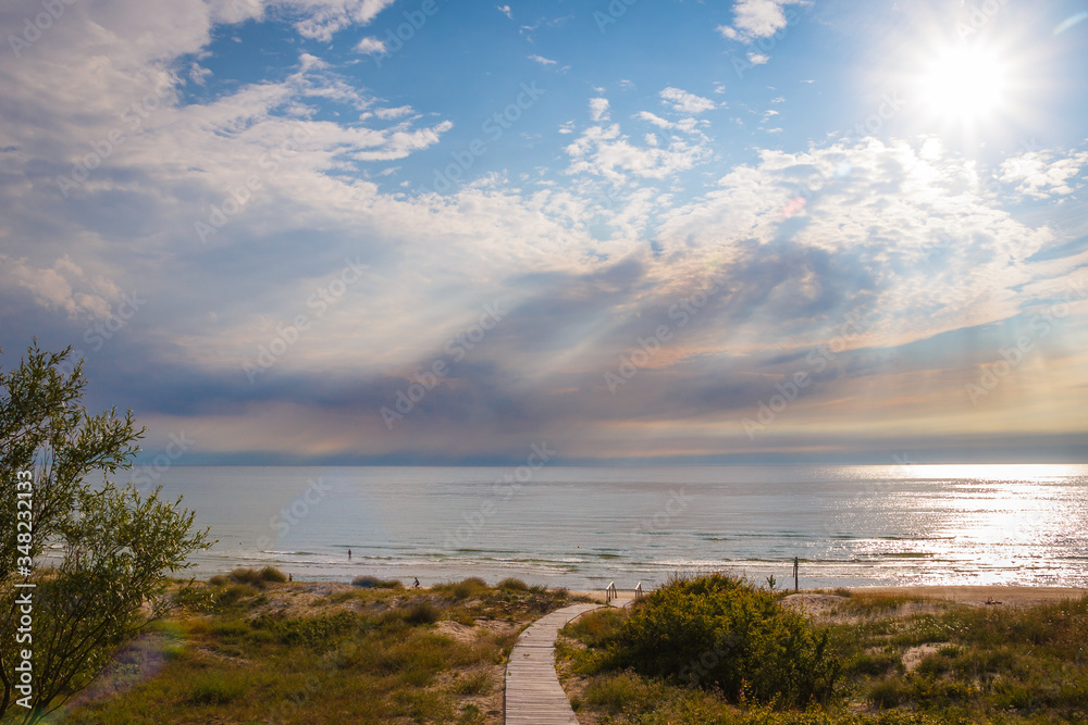 Seaside landscape in day. Bridge of branches on beach. Relax on the beach. Calm and sort seascape. Nobody on the sea coast. Sunny day in summer time on beach. Green grass, branch and bloom wild rose.