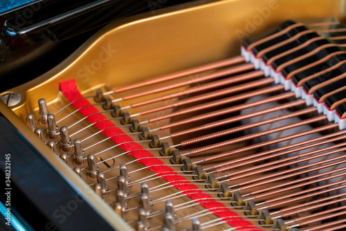 Grand Piano - Bass strings, dampers and tuning pins