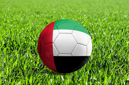 United Arab Emirates Flag on Soccer Ball
