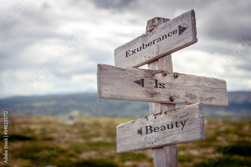 Obraz na plátně exuberance is beauty text engraved on old wooden signpost outdoors in nature