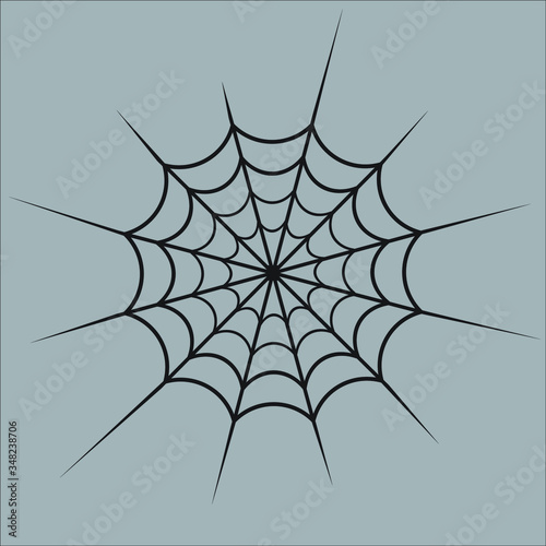 Vector icon illustration design of a spider web, or cobweb, long strands