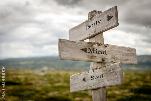 body mind soul text engraved on old wooden signpost outdoors in nature. Quotes, words and illustration concept.