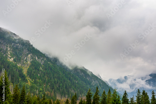 Trees, clouds and mountains. Tatra Mountains Poland