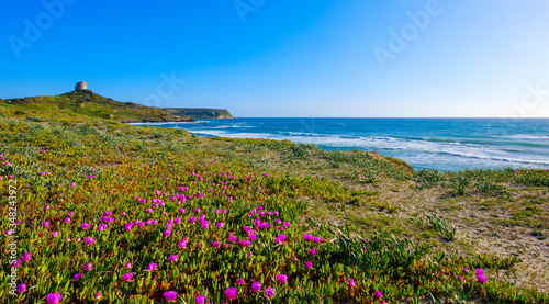 Capo San Marco beach in spring with tower view, Cabras, Sardinia, Italy
