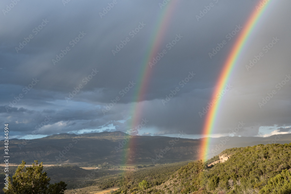 Double Bow 2