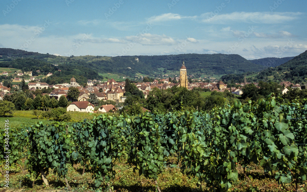 Vignoble du Jura, Arbois, 39, Jura