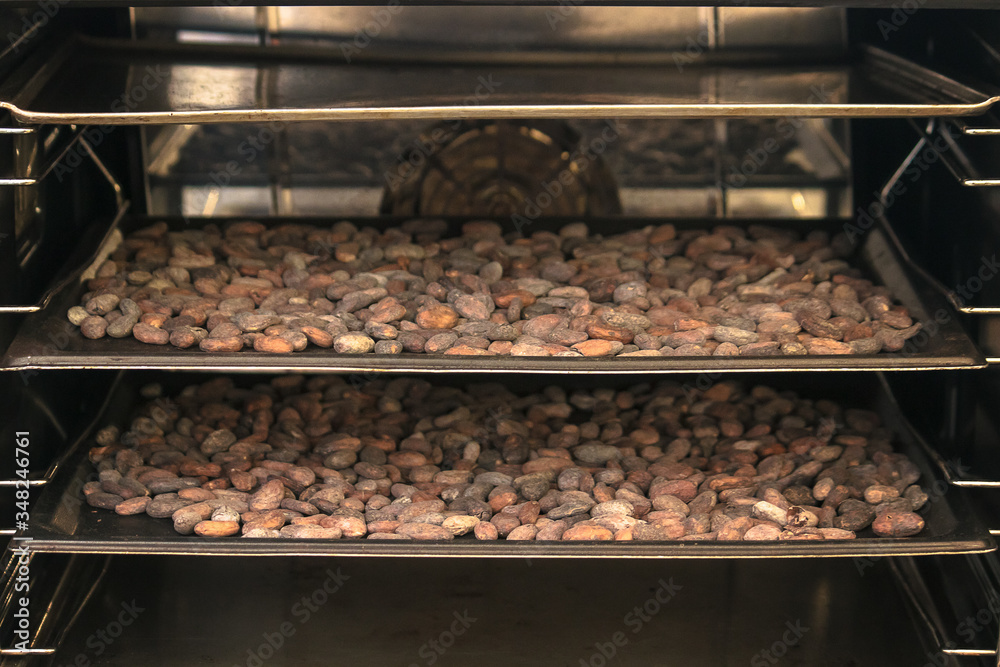 roasting process of cocoa beans, artisanal chocolate making factory