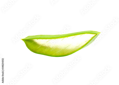 Part of aloe vera cut on white background see through the tissue