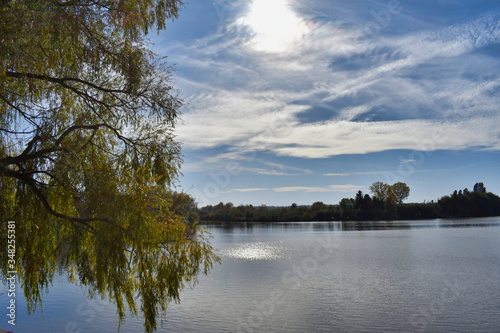 Fototapeta Naklejka Na Ścianę i Meble -  Lake in the park