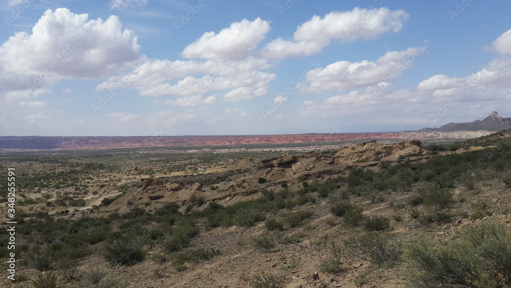 Fototapeta premium Parque Nacional Ischigualasto (Valle de la Luna)