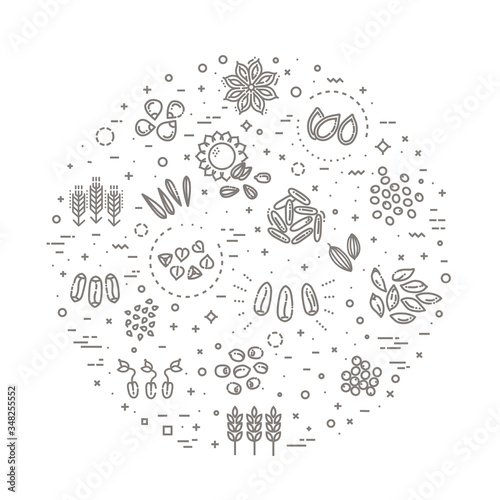 Plant seed vector icon set