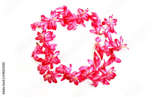 heart made of flowers isolated on white background