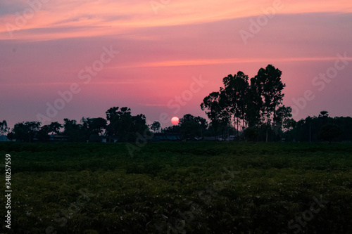 Sunset view of a small Indian village in front of green crops field with beautiful mist cloudy sky 