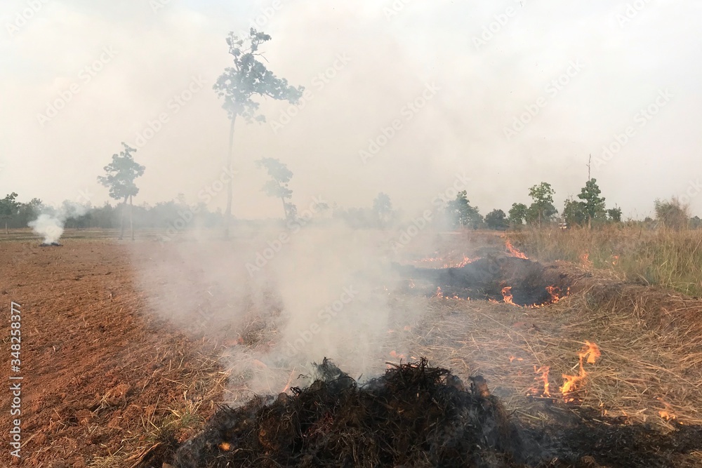 Fire is burning hay in the dry season. Fire is burning hay in the dry season.