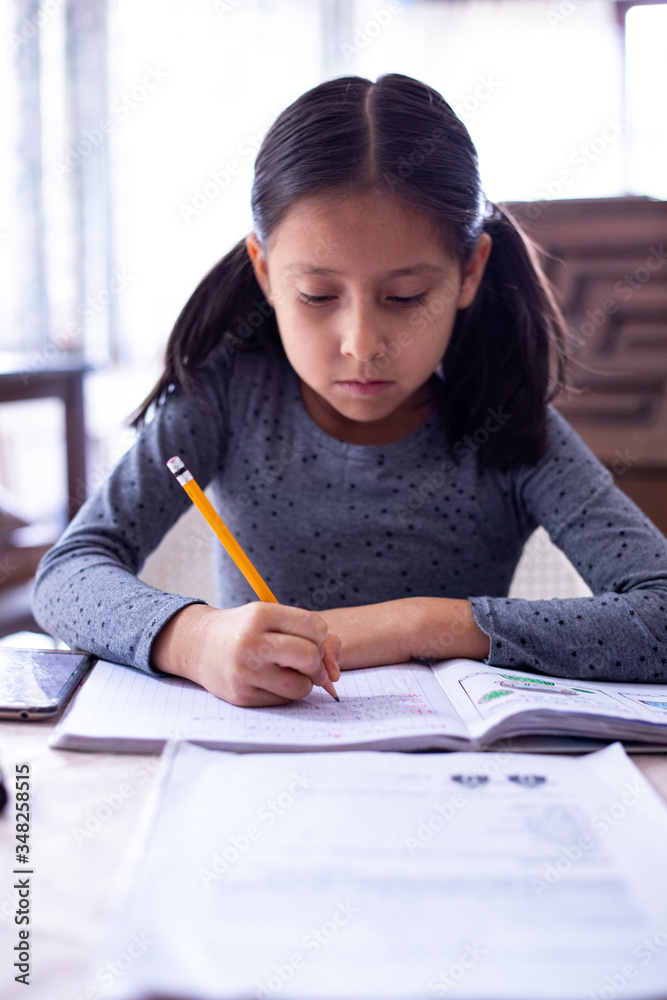 Niña toma clases en casa a causa de la contingencia Niña toma clases en casa a causa de la contingencia