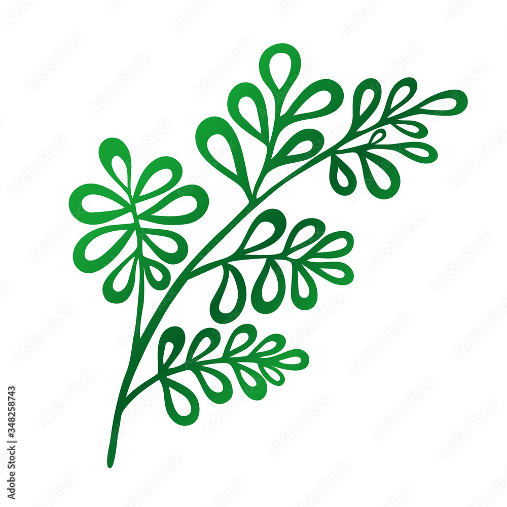 Tropical leaf on an isolated background, green plant, botanical illustration, floral design, Plumeria, Gardenia, Rubiaceae. Vector typography for home decor, kids rooms, pillows, mugs