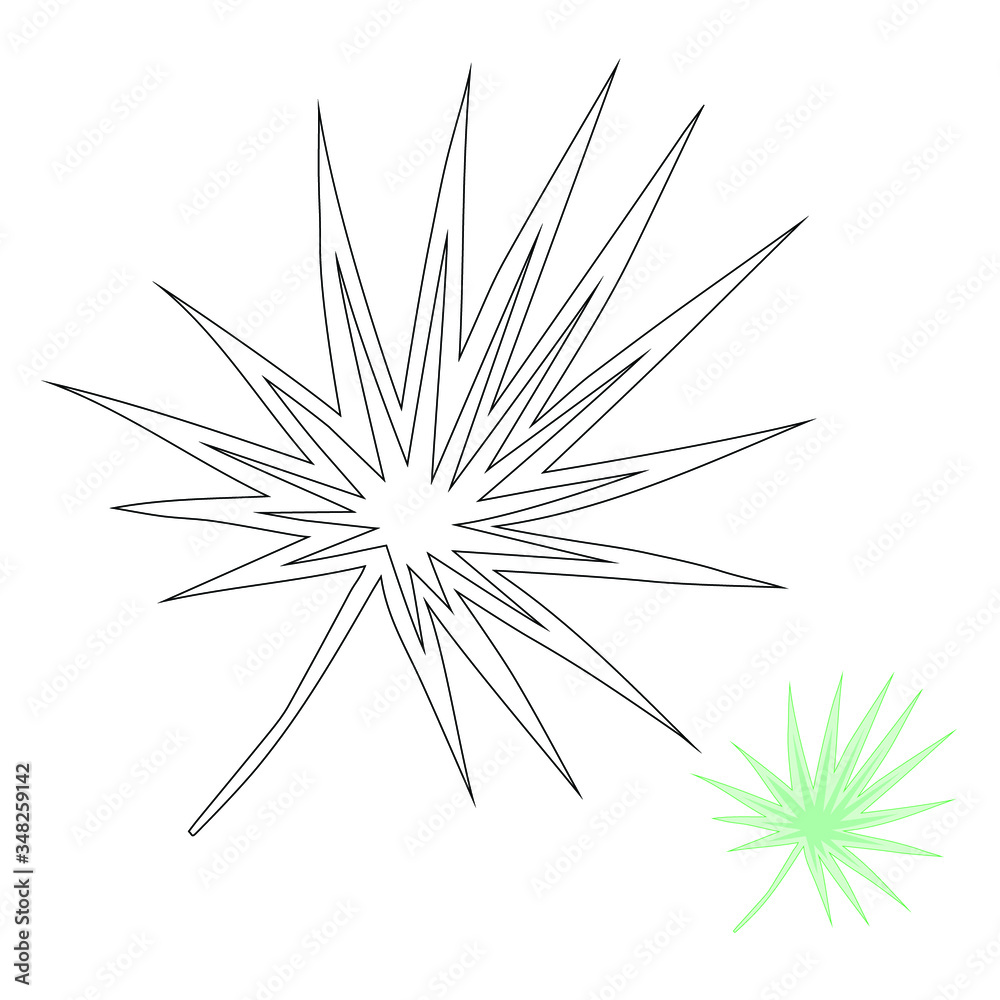 Tropical leaves hand drawn vector sketches set. Exotic plant, black ink illustrations. Outline floral design, plumeria, palm trees, ficus, fern. Monochrome floral postcard design elements for coloring Tropical leaves hand drawn vector sketches set. Exotic plant, black ink illustrations. Outline floral design, plumeria, palm trees, ficus, fern. Monochrome floral postcard design elements for coloring