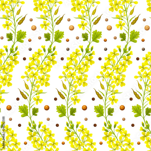 Seamless background of flower, seeds and leaves mustard. Vector illustration.