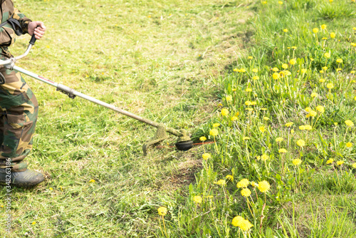 Worker mows grass on the site with a gasoline mower. A man takes care of the lawn with a string trimmer.