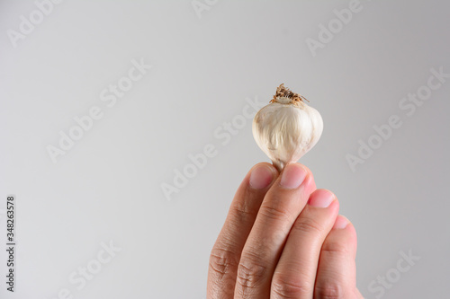 Hand holding cloves of garlic on a isolited white background. photo