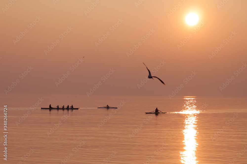 Fototapeta premium Seagull Flying over Rowing Team Training over Shimmering Lake at Sunset