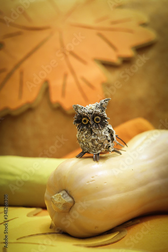 owl sitting on an autumn pumpkin close up
