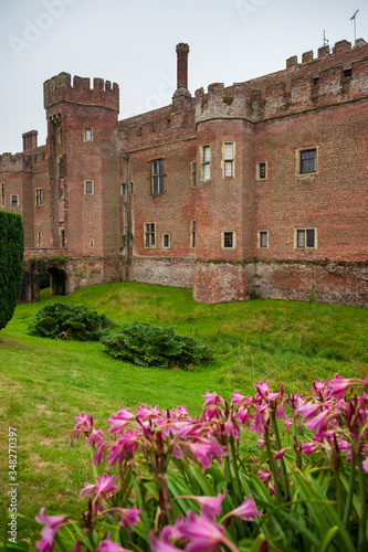 Purple flowers and Herstmonceux, East Sussex, England. Brick Herstmonceux castle in England (East Sussex) 15th century. View of a moated brick castle in Southern England. photo