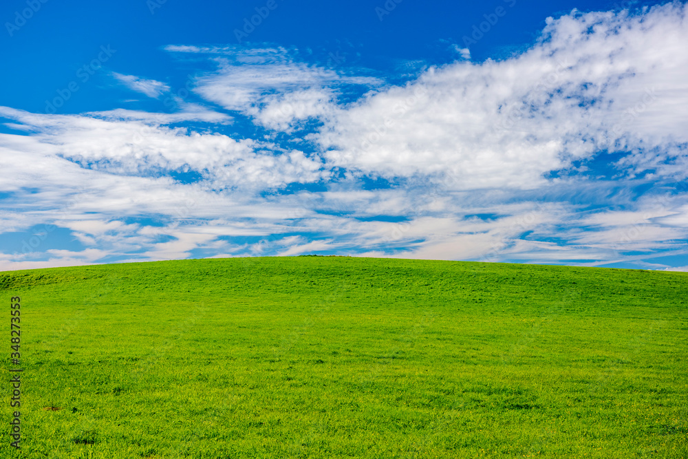 backdround with meadow, sky and copy space