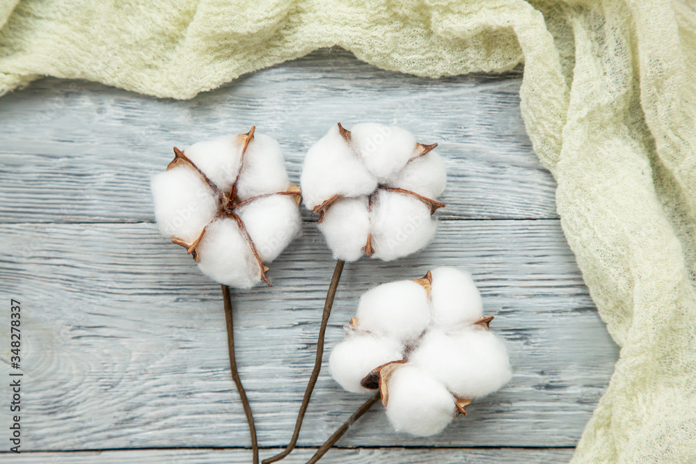 Bouquet of cotton plants on a gray wooden background and a copy of the space