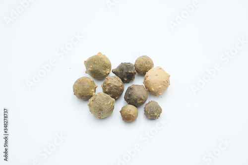Quercus infectoria, the Aleppo oak or manjakani shot on a white isolated background.