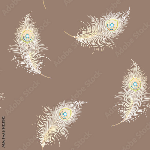 Peacock feathers Seamless pattern, background. Colored vector illustration