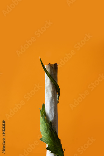 Cannabis cigarette