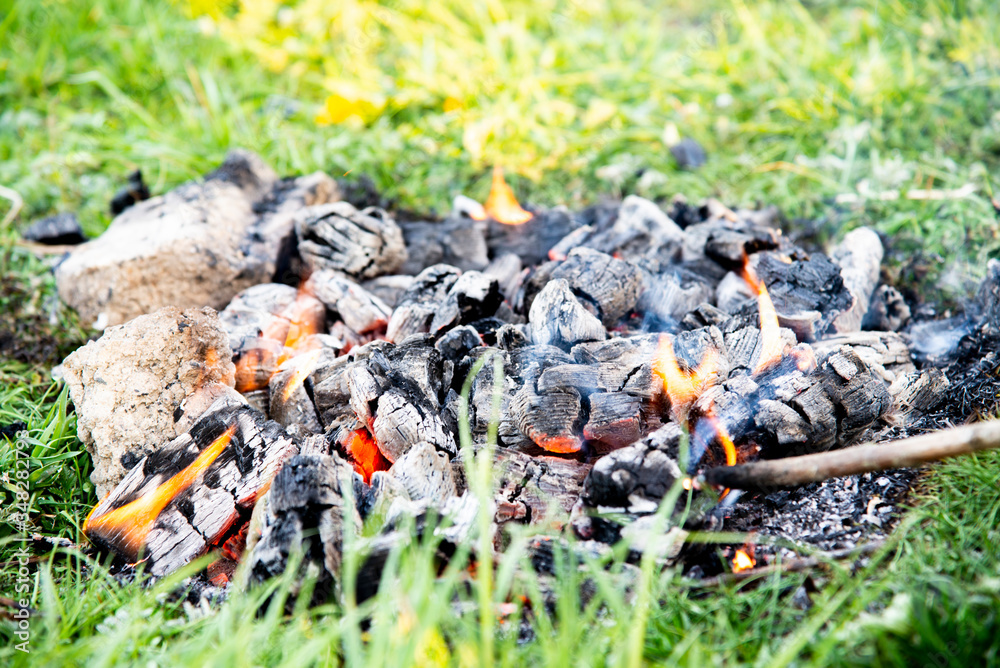 burning coal from a fire on green grass burning coal from a fire on green grass