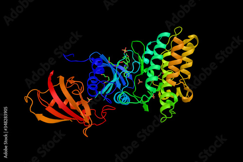 Activin A receptor, type I (ACVR1), a protein important in the bone morphogenic protein (BMP) pathway which is responsible for the development and repair of the skeletal system. 3d rendering