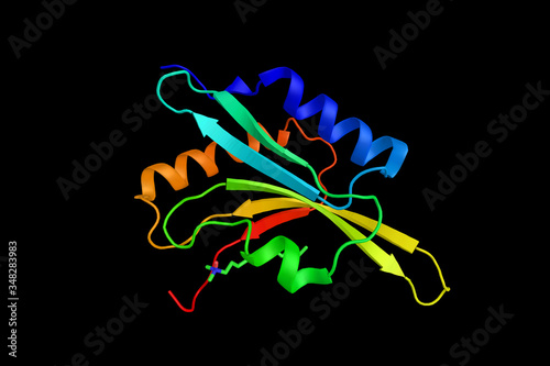 Crystal structure of adf1 from arabidopsis thaliana, 3d rendering. ADF-H domain is a motif present in three phylogenetically distinct classes of eukaryotic actin-binding proteins photo