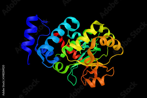 Alpha-tocopherol transfer protein, which transports its substrate between different intracellular membranes. 3d rendering photo