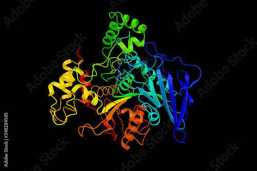Bile salt-dependent lipase, an enzyme produced by the adult pancreas which aids in the digestion of fats. Originally discovered in the milk of humans and various other primates. 3d rendering photo