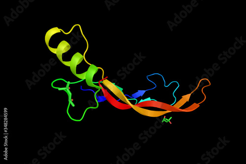 Bone morphogenetic protein 4, a protein found in early embryonic development in the ventral marginal zone and in the eye, heart blood and otic vesicle. 3d rendering photo