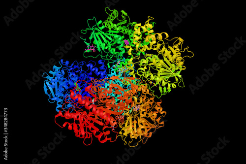 Liver carboxylesterase 1, an enzyme present in most tissues with higher levels in the liver and low levels in the gastrointestinal tract. Known to hydrolyze aromatic and aliphatic esters photo