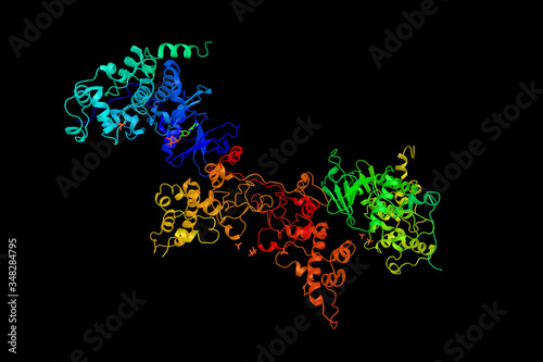 Casein kinase II subunit alpha, an enzyme which is a serine/threonine protein kinase that phosphorylates acidic proteins such as casein. 3d rendering photo