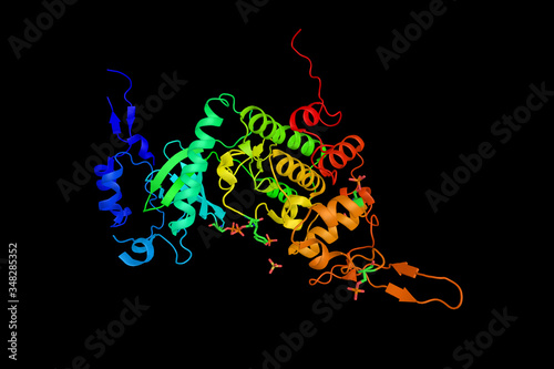 Dual specificity tyrosine-phosphorylation-regulated kinase 2, an enzyme which has demonstrated tyrosine autophosphorylation and catalyzed phosphorylation of histones H3 and H2B in vitro. 3d rendering photo