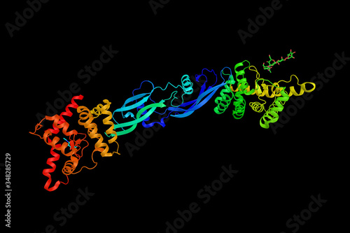 GDNF family receptor alpha-3, a protein which forms a signaling receptor complex with RET tyrosine kinase receptor and binds the ligand, artemin. 3d rendering photo
