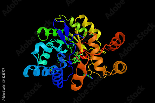 Human aldose reductase in complex with NADP+, citrate, and IDD594, a small molecule inhibitor. 3d rendering photo