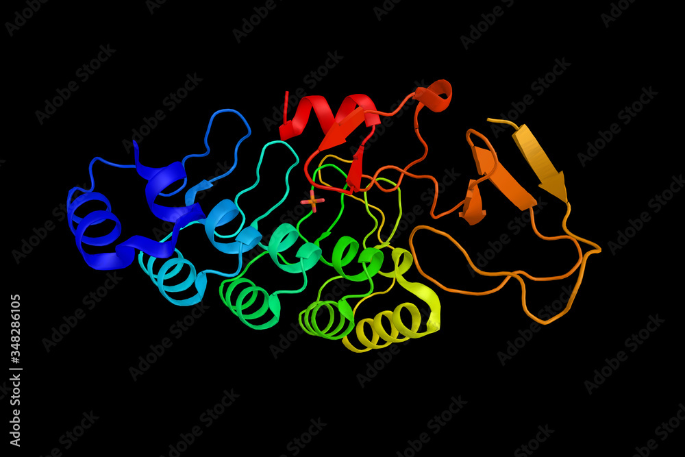 Fototapeta premium Integrin-linked kinase, a protein associated with multiple cellular functions including cell migration, cell proliferation, cell-adhesions, and signal transduction. 3d rendering