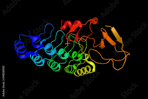 Integrin-linked kinase, a protein associated with multiple cellular functions including cell migration, cell proliferation, cell-adhesions, and signal transduction. 3d rendering