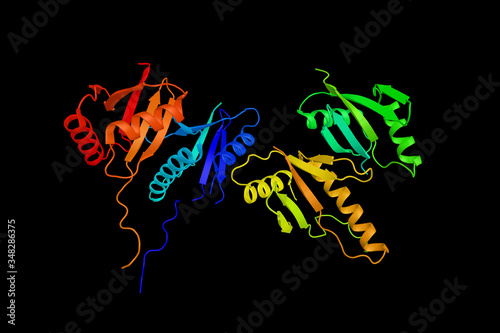 Dual specificity mitogen-activated protein kinase kinase 5, an enzyme involved in growth factor stimulated cell proliferation and muscle cell differentiation. 3d rendering photo