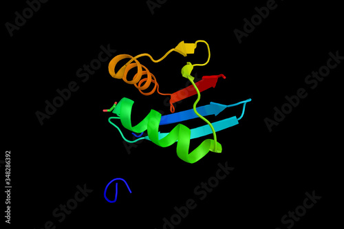Mitogen-activated protein kinase kinase kinase 3, an enzyme involved in regulating cell fate in response to external stimuli. 3d rendering photo