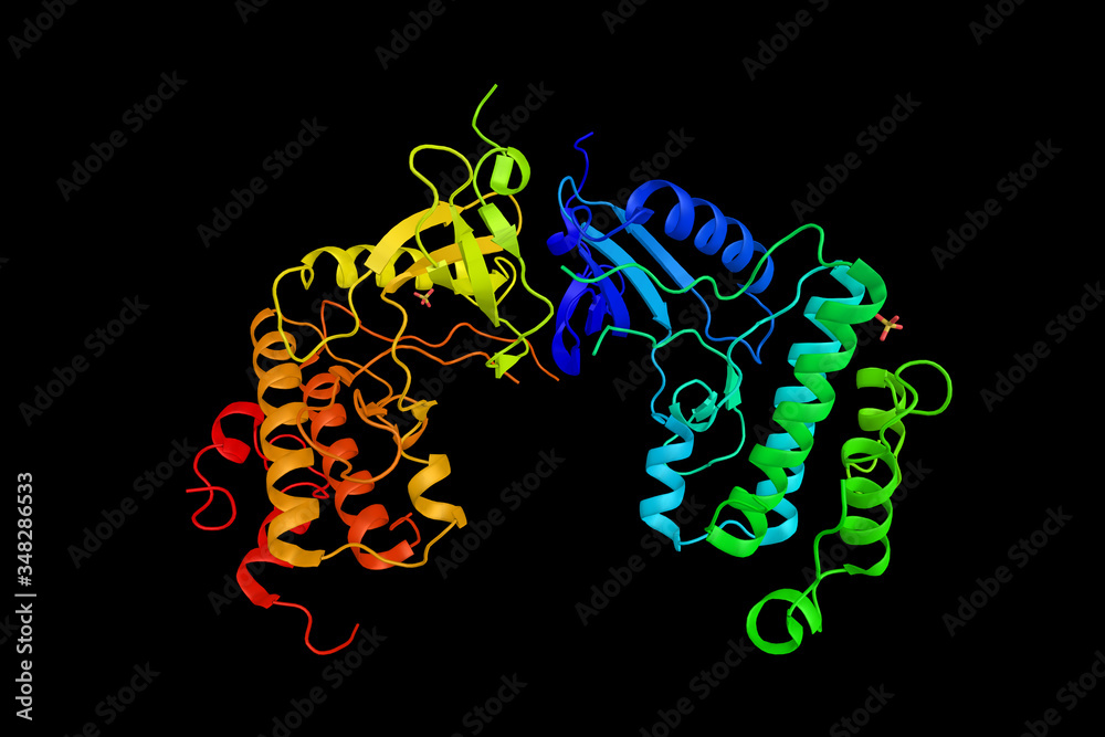 MAP kinaseinteracting serine/threonineprotein kinase 1, an enzyme